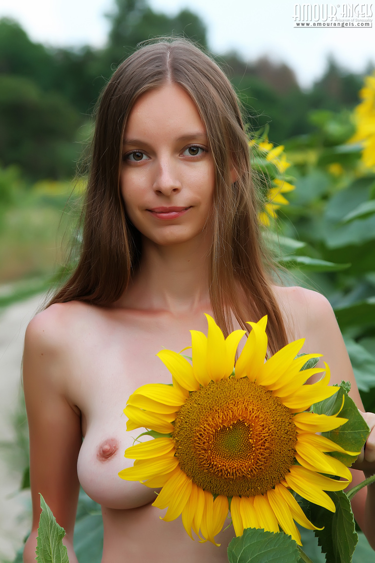 [Image not found]